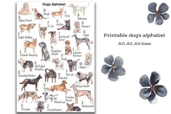 Dog's Alphabet with Watercolor Artworks: A Designer's Playful Asset