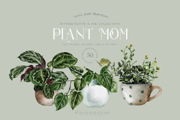 House Plants Illustrations and Patterns: A Botanical Toolkit for Modern Design